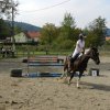 Babie Lato 2016